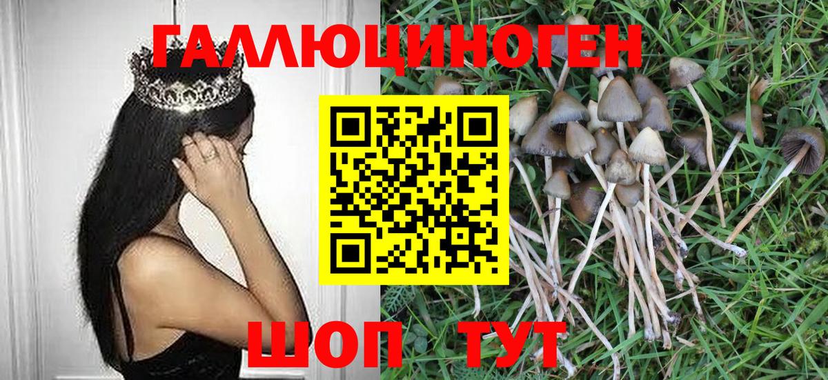Галлюциногенные грибы Psilocybine cubensis  Вход с VPN  дарнет шоп  Бутурлиновка 