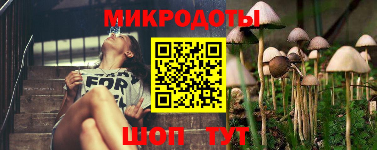 Галлюциногенные грибы Magic Shrooms Бутурлиновка